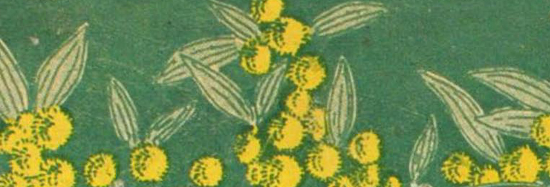 artwork of wattle from the book cover
