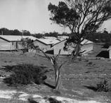 Rowville camp buildings, from the Argus newspaper collection of war photographs, World War II, originally captioned ‘Rosehill (Dandenong) camp, these huts at present empty’, c. 1945, State Library Victoria, Pictures Collection, H99.201/410