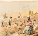 Watercolour ilklustration by ST Gill depicting zealkous gold Ddiggers in Castlemaine